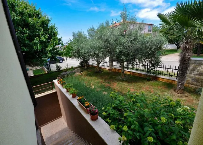 Ana M * Novigrad Istria